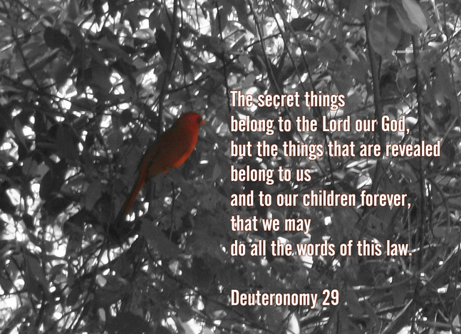 The secret things belong to the Lord our God, but the things that are revealed belong to us and to our children forever, that we may do all the words of this law. Deuteronomy 29