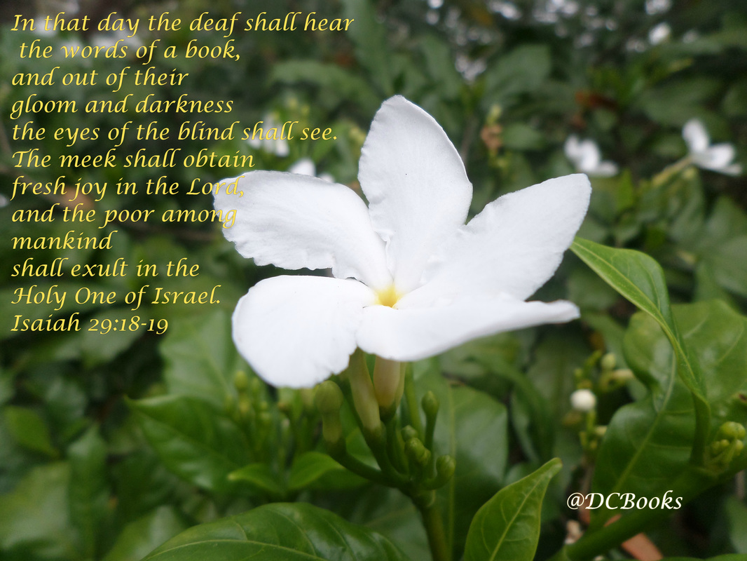 In that day the deaf shall hear the words of a book, and out of their gloom and darkness the eyes of the blind shall see. 19 The meek shall obtain fresh joy in the Lord, and the poor among mankind shall exult in the Holy One of Israel. Isaiah 28:18-19 Photo of white flower by Donna Campbell