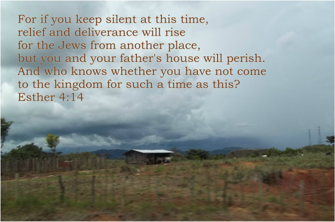 For if you keep silent at this time, relief and deliverance will rise for the Jews from another place, but you and your father's house will perish. And who knows whether you have not come to the kingdom for such a time as this?” Esther 4:14