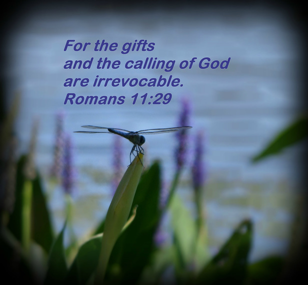 For the gifts and the calling of God are irrevocable. Romans 11:29