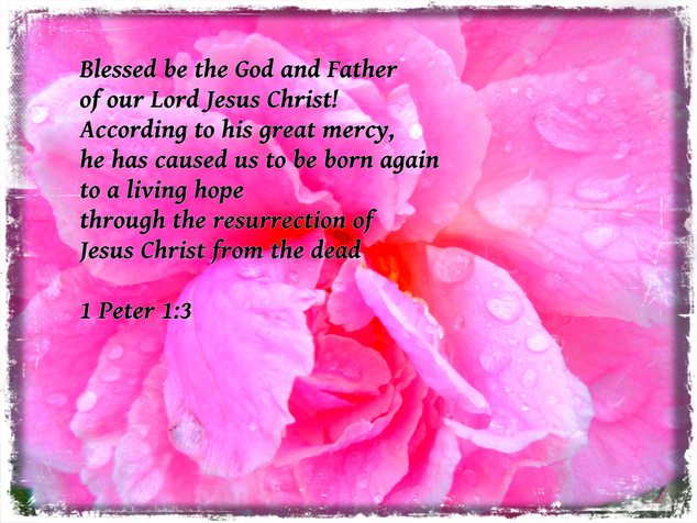 Blessed be the God and Father of our Lord Jesus Christ! According to his great mercy, he has caused us to be born again to a living hope through the resurrection of Jesus Christ from the dead 1 Peter 1:3