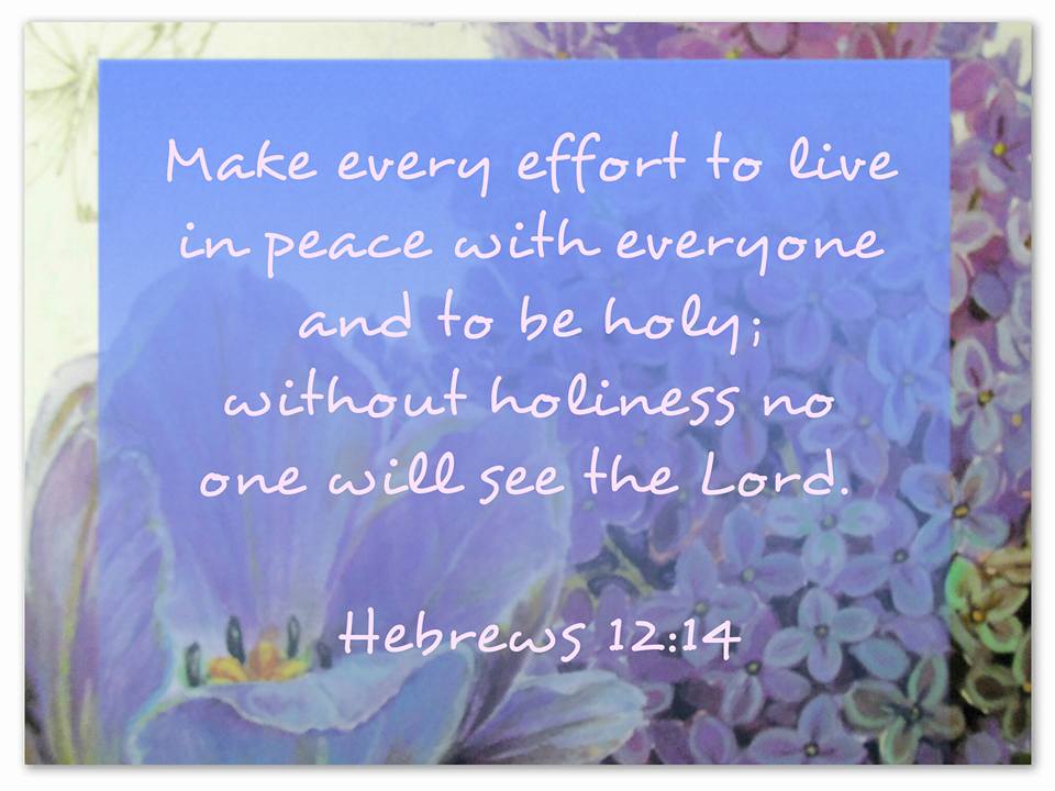 Strive for peace with everyone, and for the holiness without which no one will see the Lord Hebrews 12:14 Meme created by Lani Campbell