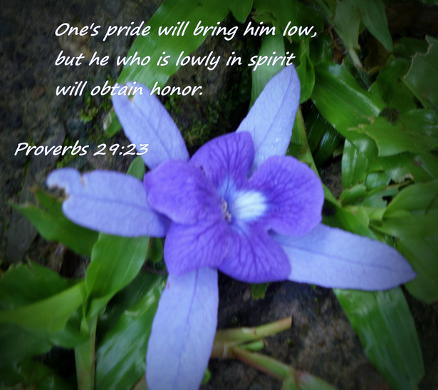 One's pride will bring him low,     but he who is lowly in spirit will obtain honor. Proverbs 29:23