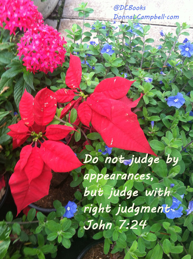 Do not judge by appearances, but judge with right judgment. - John 7:24
