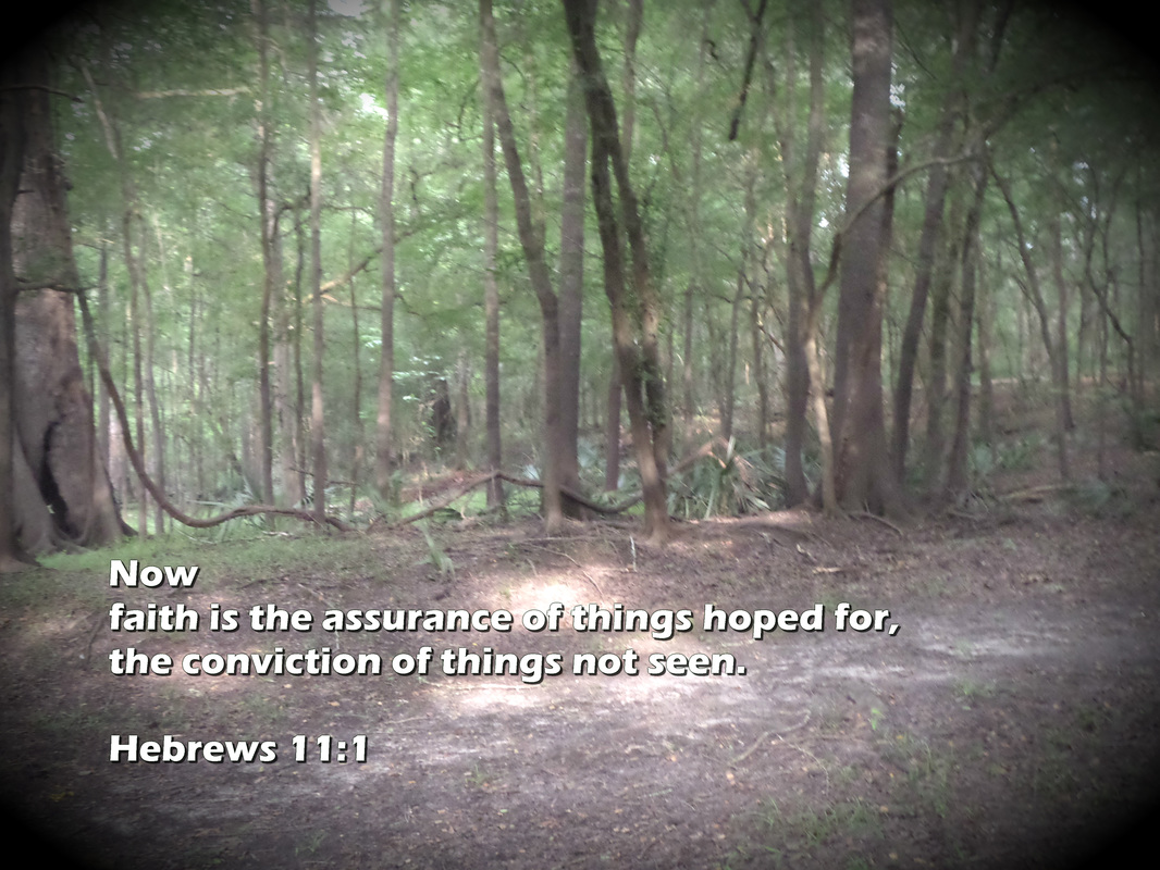 Now faith is the assurance of things hoped for, the conviction of things not seen.  Hebrews 11:1