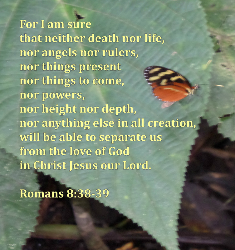 For I am sure that neither death nor life, nor angels nor rulers, nor things present nor things to come, nor powers, nor height nor depth, nor anything else in all creation, will be able to separate us from the love of God in Christ Jesus our Lord. Romans 8:38-39