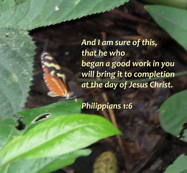 And I am sure of this, that he who began a good work in you will bring it to completion at the day of Jesus Christ. Philippians 1:6