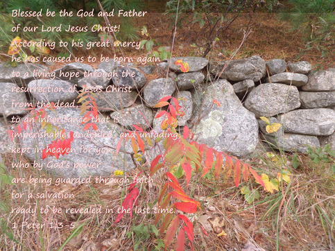 1 Peter 1:3-5 on photo by Donna Campbell