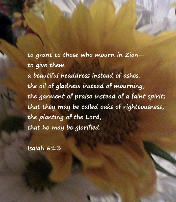 to grant to those who mourn in Zion-- to give them a beautiful headdress instead of ashes, the oil of gladness instead of mourning, the garment of praise instead of a faint spirit; that they may be called oaks of righteousness, the planting of the Lord, that he may be glorified. Isaiah 61:3 on photo of sunflower