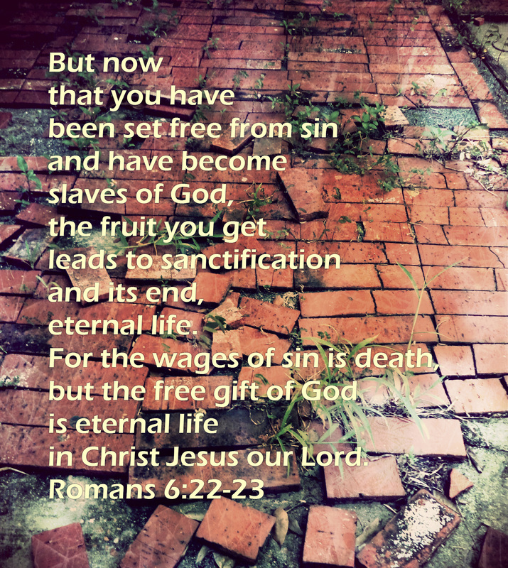 But now that you have been set free from sin and have become slaves of God, the fruit you get leads to sanctification and its end, eternal life. For the wages of sin is death, but the free gift of God is eternal life in Christ Jesus our Lord. Romans 6:22-23 On photo of Broken Brick Path by Donna Campbell
