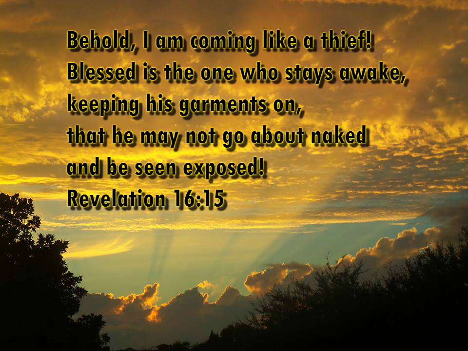 Behold, I am coming like a thief! Blessed is the one who stays awake, keeping his garments on, that he may not go about naked and be seen exposed! Revelation 16:15 On Photo of Amber Sky by Lani Campbell