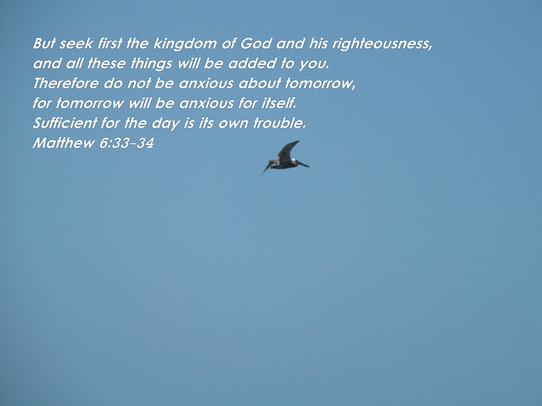 But seek first the kingdom of God and his righteousness, and all these things will be added to you. Therefore do not be anxious about tomorrow, for tomorrow will be anxious for itself. Sufficient for the day is its own trouble. Matthew 6:33-34 on photo of  Pelican Flying in Blue Sky by Donna Campbell