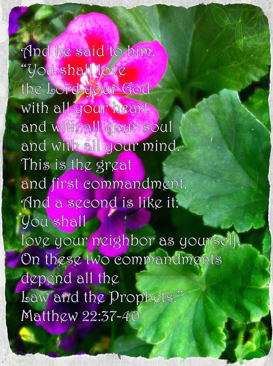 The Royal Laws Matthew 22:37-40 on photo of Pansies by Donna Campell
