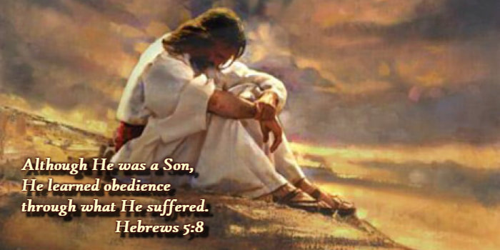 Although he was a Son, He learned obedience through what He suffered. Hebrews 5:8