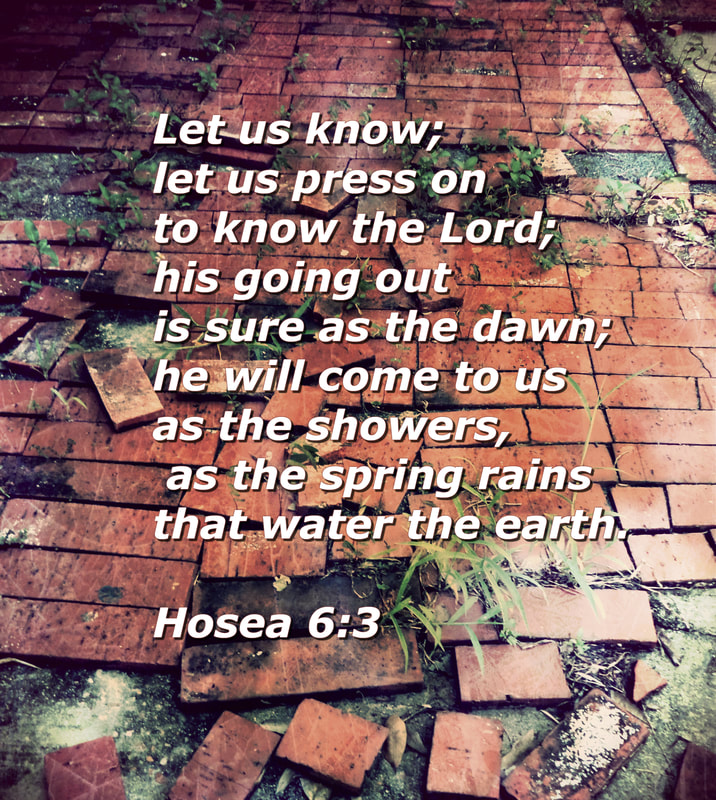 Let us know; let us press on to know the Lord;     his going out is sure as the dawn; he will come to us as the showers,     as the spring rains that water the earth. Hosea 6:3
