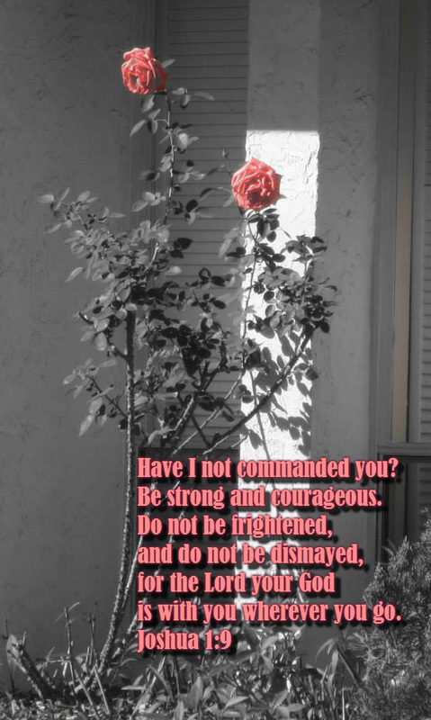 Have I not commanded you? Be strong and courageous. Do not be frightened, and do not be dismayed, for the Lord your God is with you wherever you go. Joshua 1:9 On photo of Roses in Pink by Lani Campbell