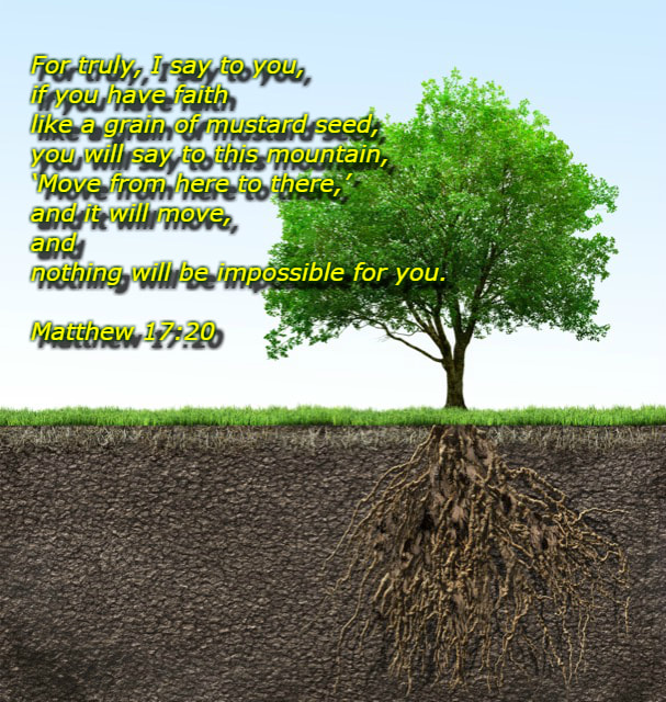He said to them, “Because of your little faith. For truly, I say to you, if you have faith like a grain of mustard seed, you will say to this mountain, ‘Move from here to there,’ and it will move, and nothing will be impossible for you.” Matthew 17:20 on photo of Mustard Tree