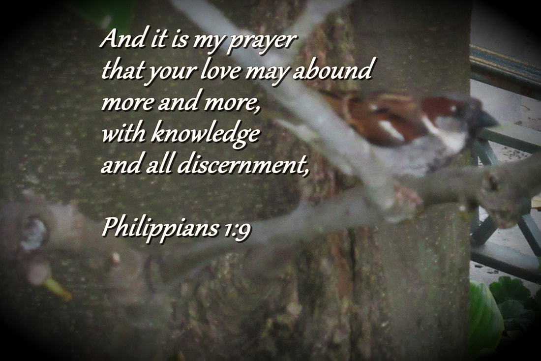 And it is my prayer that your love may abound more and more, with knowledge and all discernment, Philippians 1:9 The practice of Examen devotional