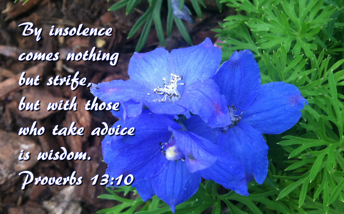 By insolence comes nothing but strife,     but with those who take advice is wisdom. Proverbs 13:10