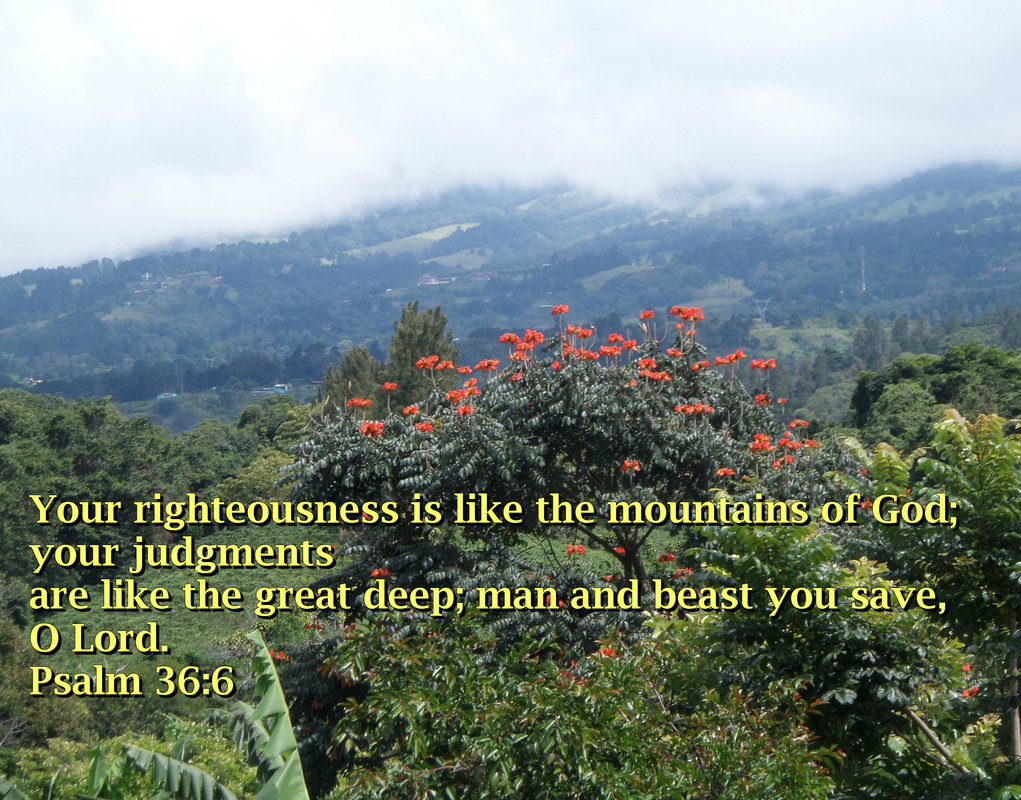 Your righteousness is like the mountains of God; your judgments are like the great deep; man and beast you save, O Lord. Psalm 36:6