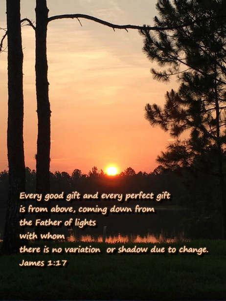 Every good gift and every perfect gift is from above, coming down from the Father of lights with whom there is no variation or shadow due to change. James 1:17 photo by Lani Campbell