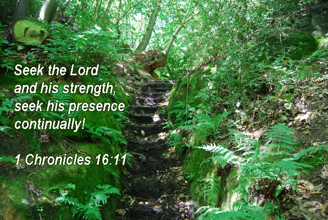 Seek the Lord and his strength;     seek his presence continually! 1 Chronicles 16:11