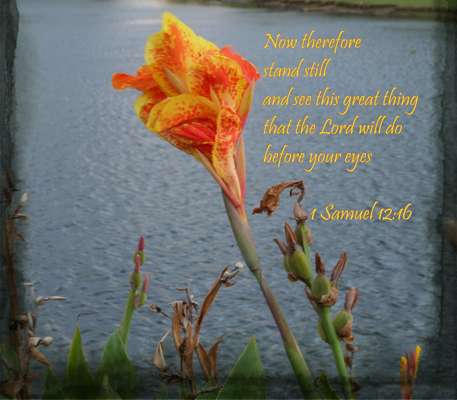 Now therefore stand still and see this great thing that the Lord will do before your eyes.  1 Samuel 12:16