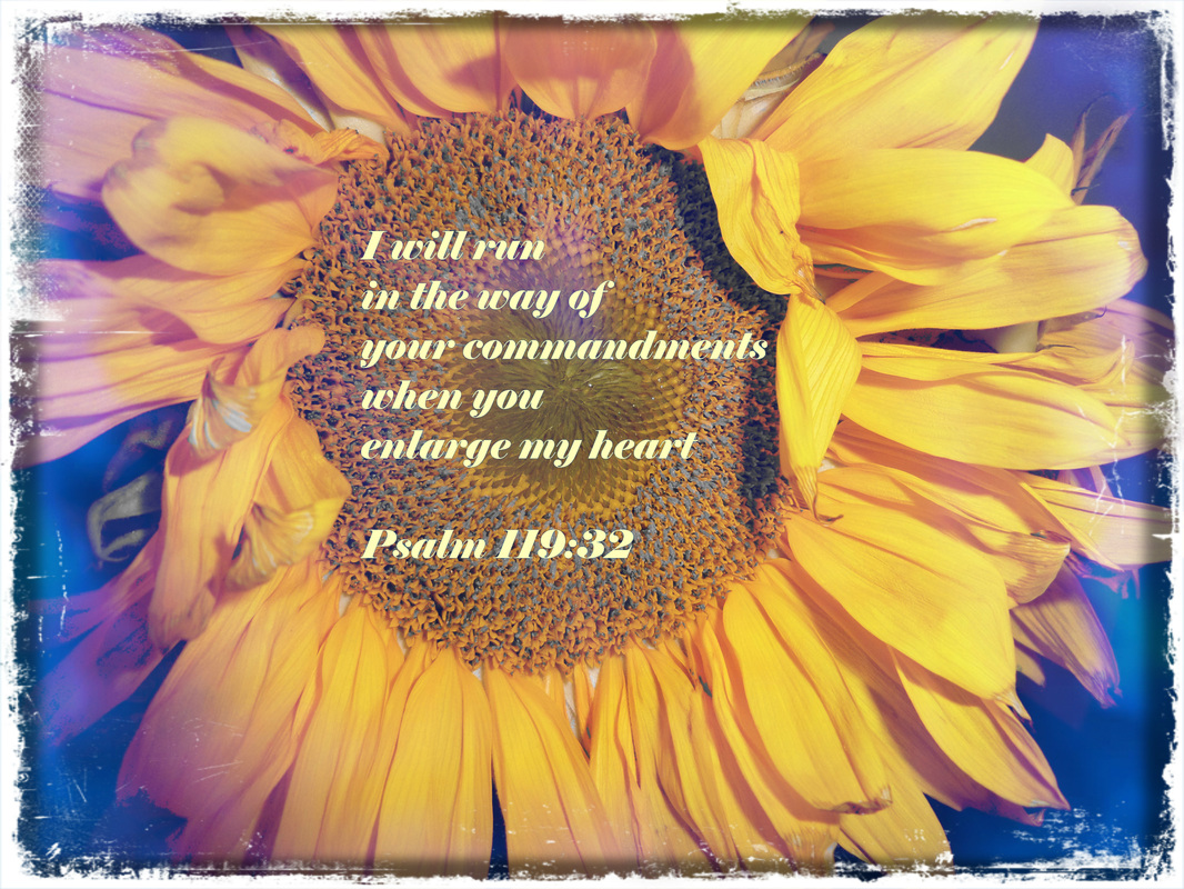 I will run in the way of your commandments     when you enlarge my heart! Psalm 119:32 on Photo of Sunflower by Donna Campbell