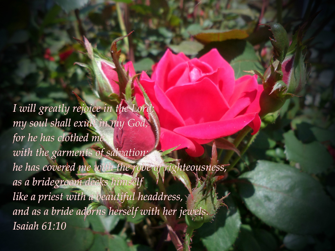 I will greatly rejoice in the Lord; my soul shall exult in my God, for he has clothed me with the garments of salvation; he has covered me with the robe of righteousness, as a bridegroom decks himself like a priest with a beautiful headdress, and as a bride adorns herself with her jewels. Isaiah 61:10