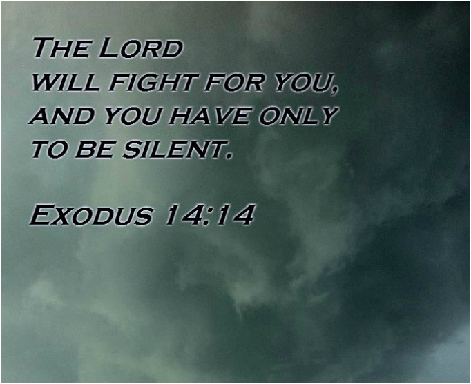 The LORD will fight for you, and you have only to be silent. Exodus 14:14
