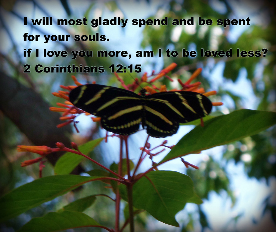 I will most gladly spend and be spent for your souls. If I love you more, am I to be loved less? 2 Corinthians 12:15