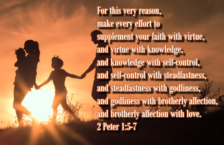 For this very reason, make every effort to supplement your faith with virtue, and virtue with knowledge, and knowledge with self-control, and self-control with steadfastness, and steadfastness with godliness, and godliness with brotherly affection, and brotherly affection with love. 2 Peter 1:5-7