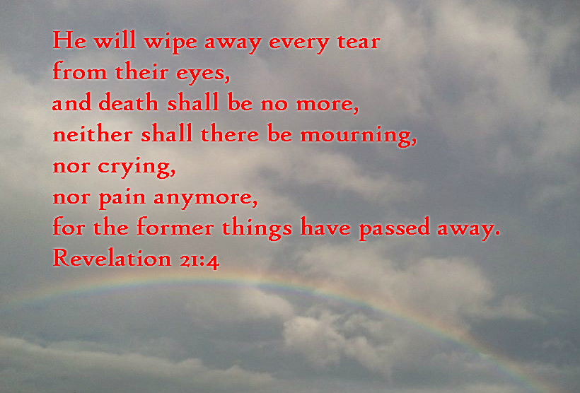 He will wipe away every tear from their eyes, and death shall be no more, neither shall there be mourning, nor crying, nor pain anymore, for the former things have passed away. Revelation 21:4