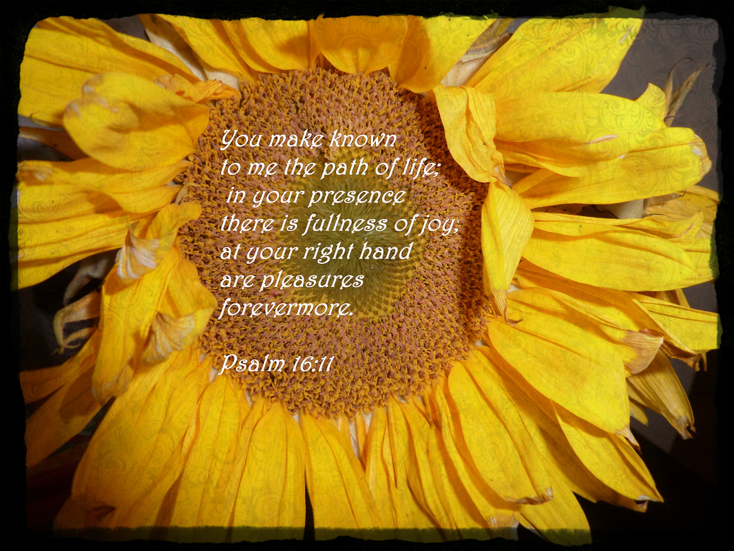 You make known to me the path of life;     in your presence there is fullness of joy;     at your right hand are pleasures forevermore. Psalm 16:11 On Photo of Sunflower by Donna Campbell