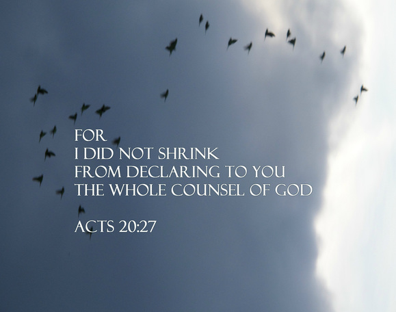 For I did not shrink from declaring to you the whole counsel of God Acts 20:27