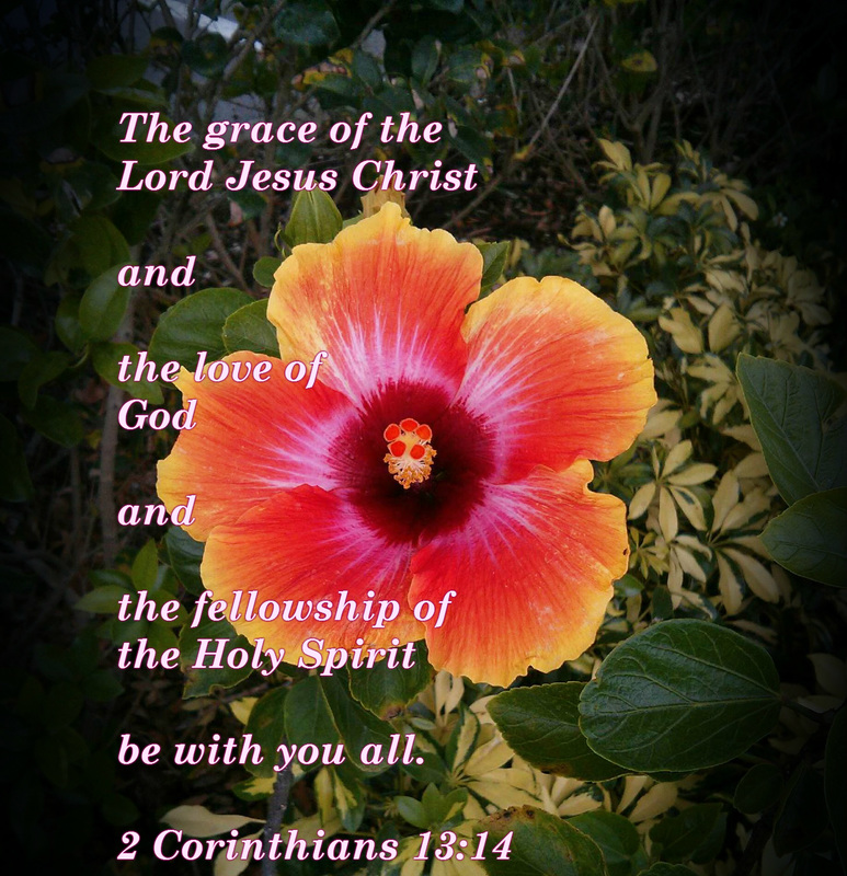 The grace of the Lord Jesus Christ and the love of God and the fellowship of the Holy Spirit be with you all. 2 Corinthians 13:14 On photo of Variegated Hibiscus photographed by Julie Kotze