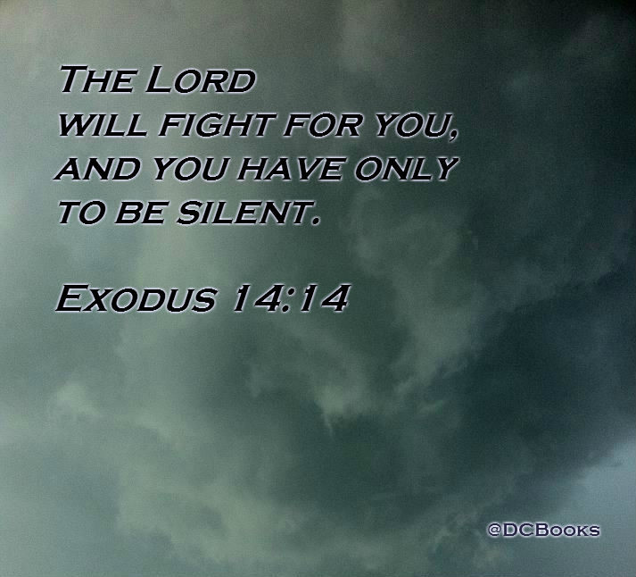 The Lord will fight for you, and you have only to be silent.” Exodus 14:14 On Photo of Dark Clouds by Donna Campbell