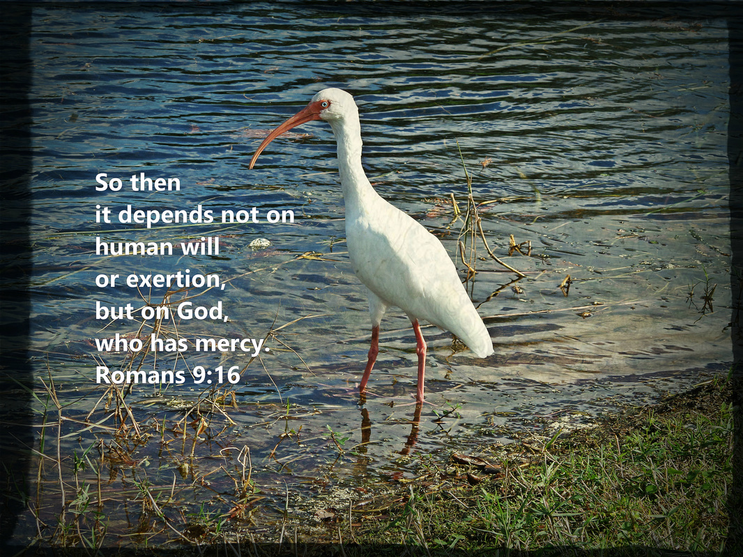 So then it depends not on human will or exertion, but on God, who has mercy. Romans 9:16