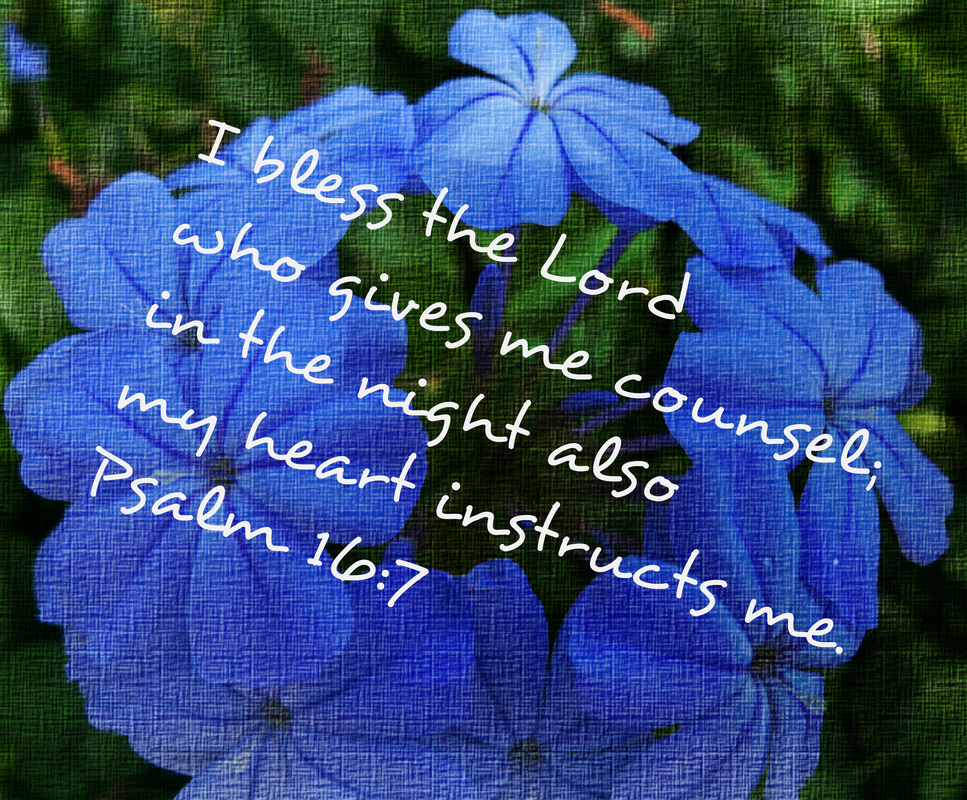 I bless the Lord who gives me counsel; in the night also my heart instructs me. Psalm 16:7