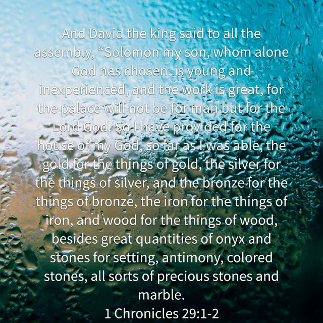 1 Chronicles 29:1-2 A Christian meme created by Pastor Richie Ruiz using Biblegateway.com