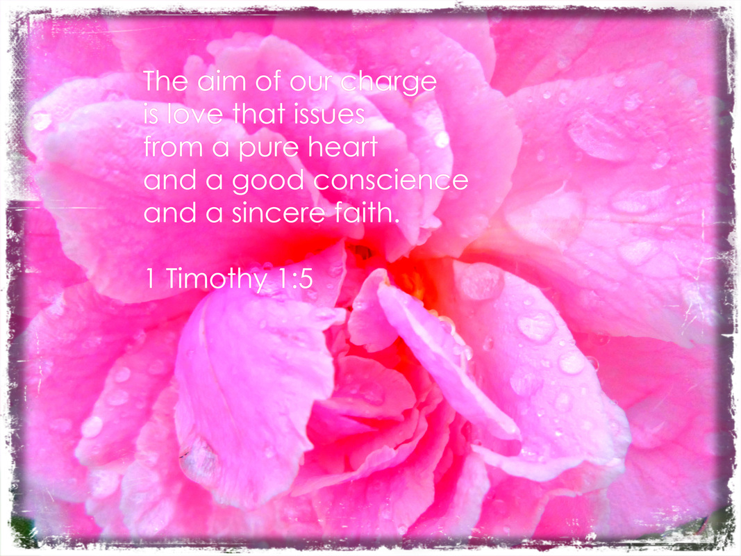 The aim of our charge is love that issues from a pure heart and a good conscience and a sincere faith.  1 Timothy 1:5