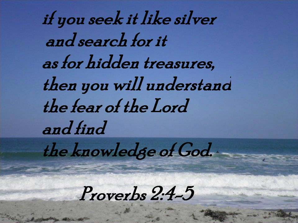 if you seek it like silver     and search for it as for hidden treasures,  then you will understand the fear of the Lord     and find the knowledge of God. Proverbs 2:4-5