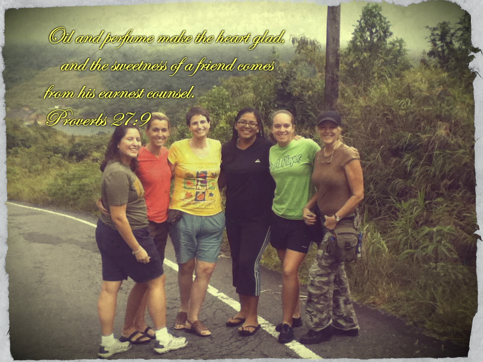 Oil and perfume make the heart glad,     and the sweetness of a friend comes from his earnest counsel. Proverbs 27:9 On photo of Friends on a Mountain Top