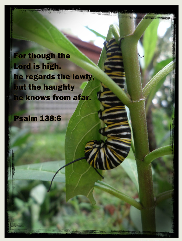 For though the Lord is high, he regards the lowly, but the haughty he knows from afar. Psalm 138:6