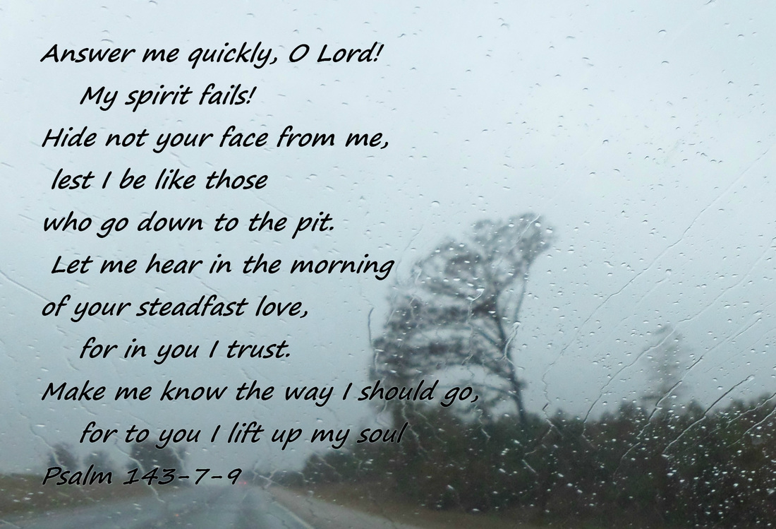 Answer me quickly, O Lord!     My spirit fails! Hide not your face from me,     lest I be like those who go down to the pit.  Let me hear in the morning of your steadfast love,     for in you I trust. Make me know the way I should go,     for to you I lift up my soul Psalm 143-7-9 On photo of Beautiful Tree through Rainy Window by Donna Campbell