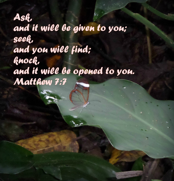 Ask, and it will be given to you; seek, and you will find; knock, and it will be opened to you Matthew 7:7