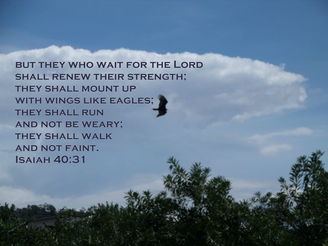 but they who wait for the Lord shall renew their strength;     they shall mount up with wings like eagles; they shall run and not be weary;     they shall walk and not faint. Isaiah 40:31