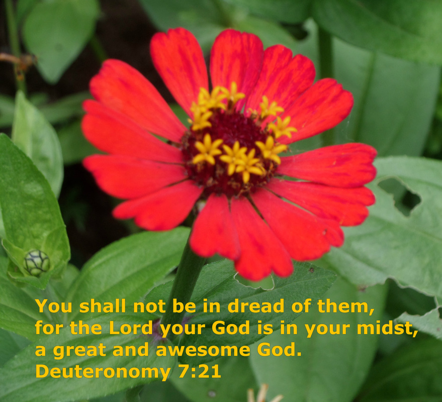 You shall not be in dread of them, for the Lord your God is in your midst, a great and awesome God. Deuteronomy 7:21