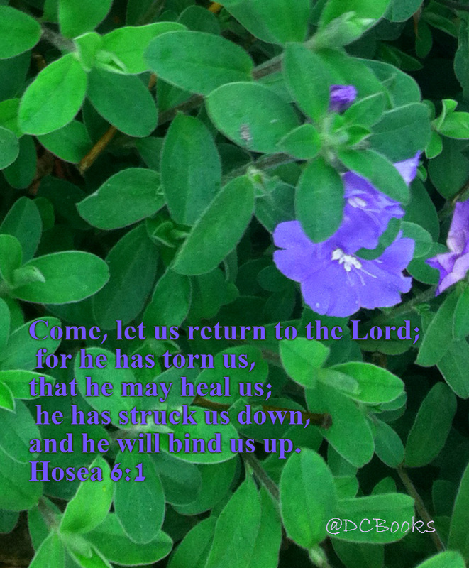 Come, let us return to the Lord;     for he has torn us, that he may heal us;     he has struck us down, and he will bind us up. Hosea 6:1  on photo of brilliant blue flower among green leaves by Donna Campbell