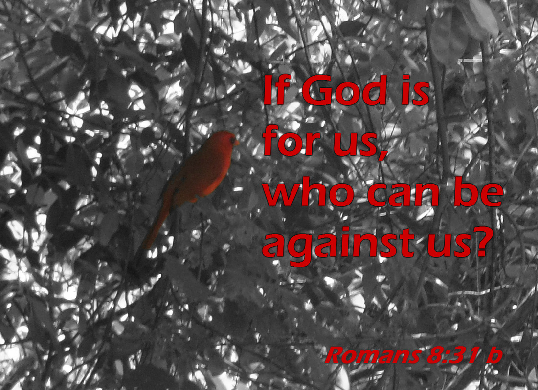 What then shall we say to these things? If God is for us, who can be against us? Romans 8:31